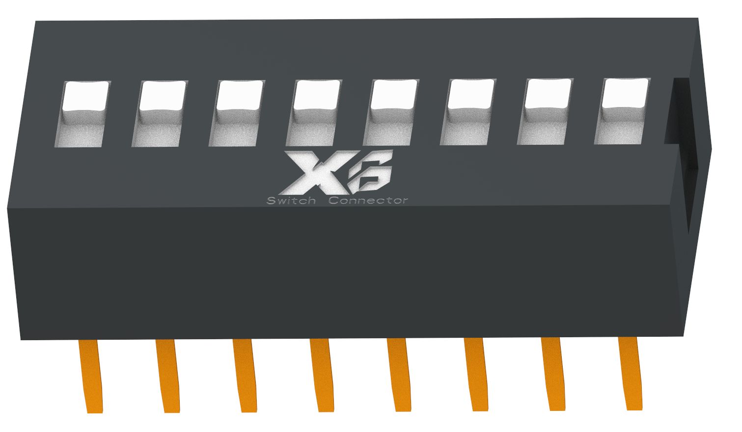 XB-DS-08BLS