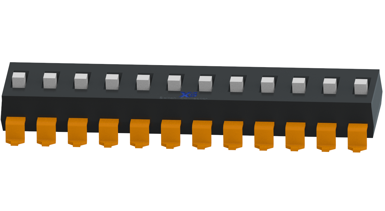 XB-DSIC 12 LS-Pタイプ