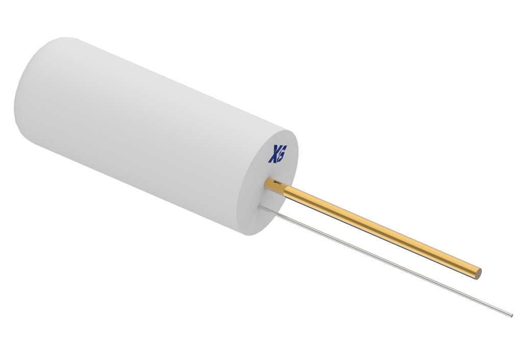 XB - SW - 18015pzr - 10g12b2 - X