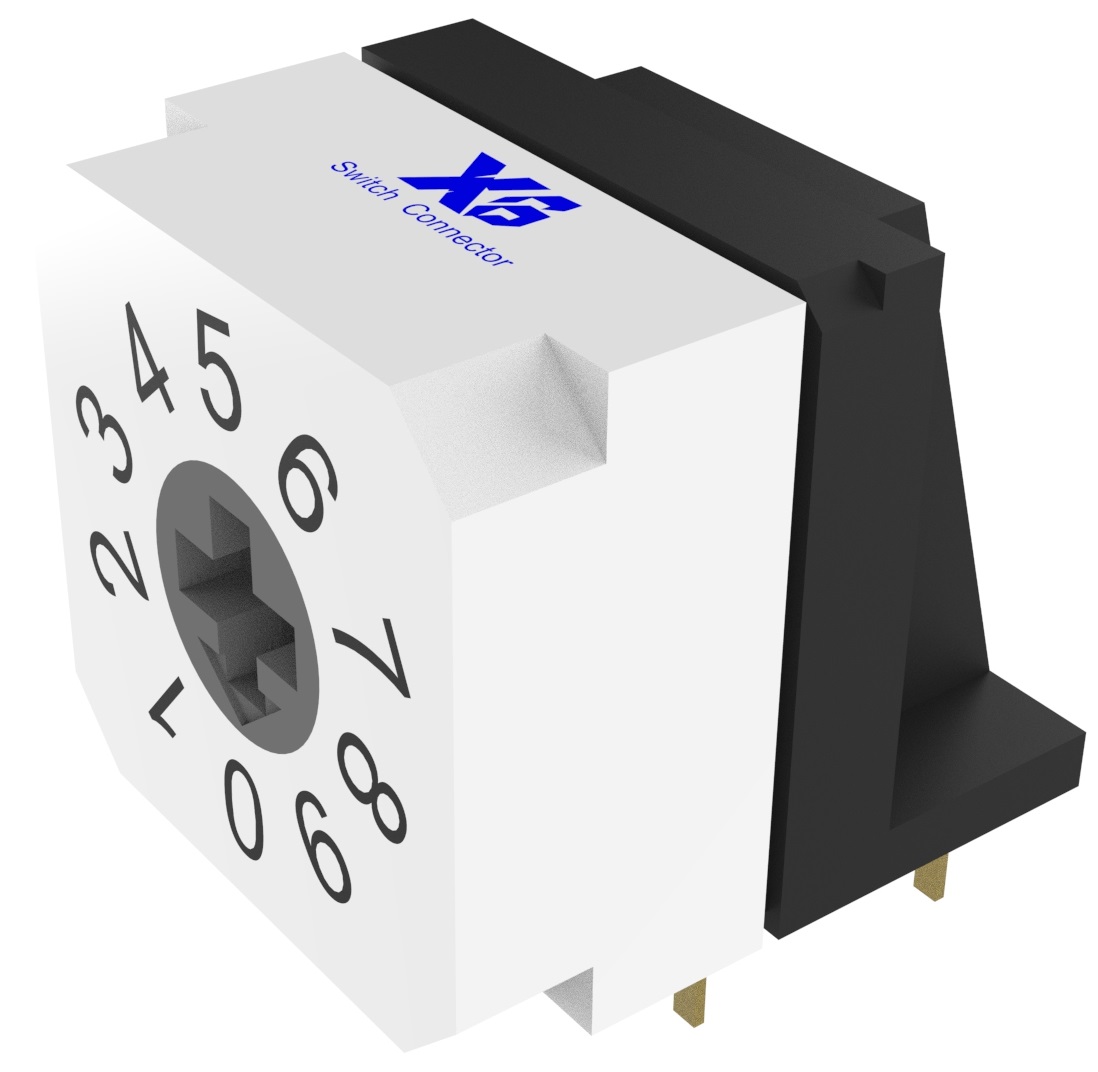 Le XB - DDR - 10H