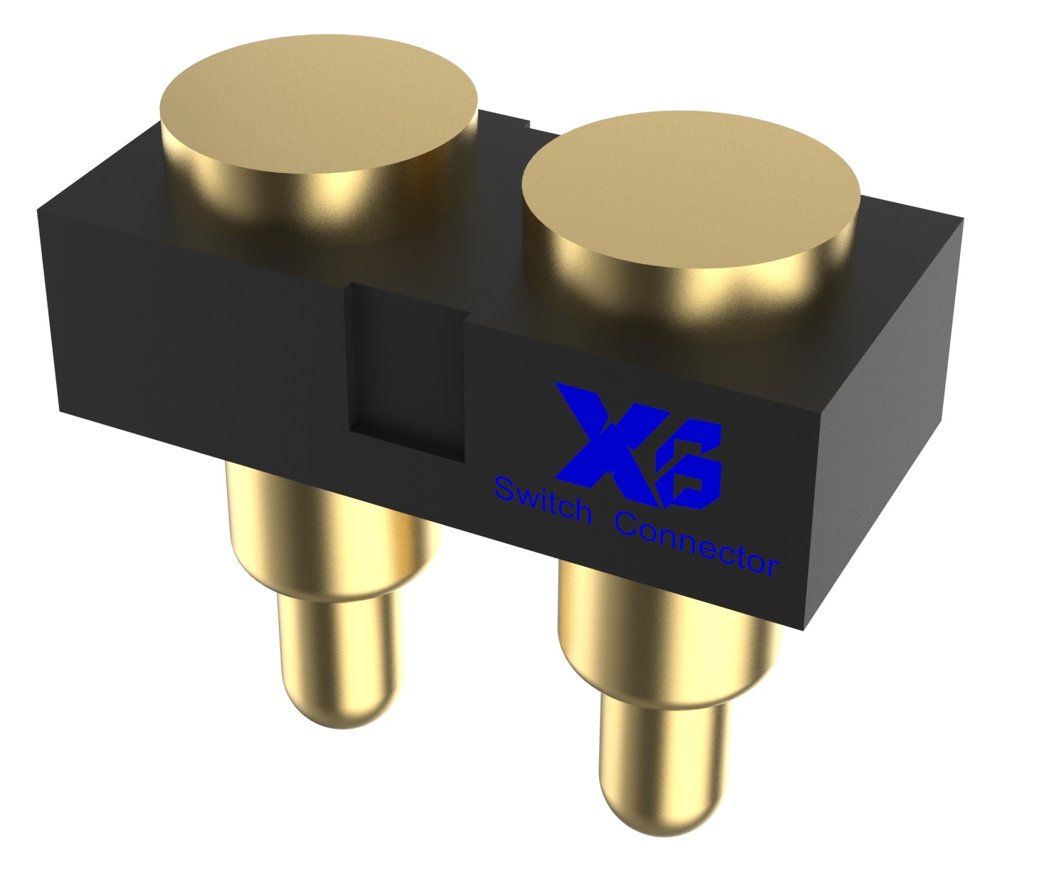 XB - PGC - DP - 2524 - 2PM - G - X