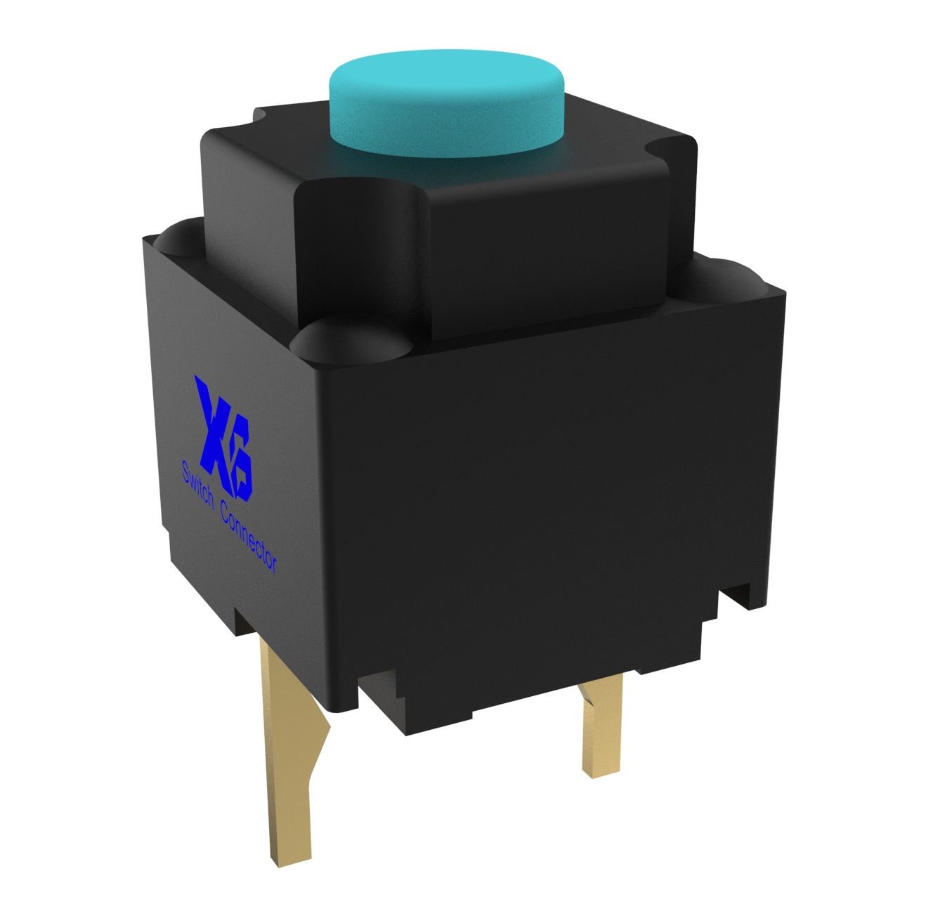 XB-TS-2DV073