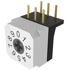 Le XB - DDR - 10H