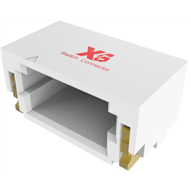 XB-X0600WRS-03-LPV01HF