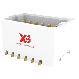 XB-X1011WVS-2X06-9TV01