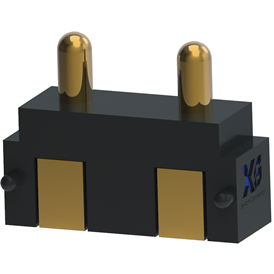 XB-PGC-X-2-202-X