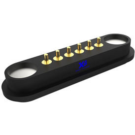 XB - PGC - CT - M - 600g - X