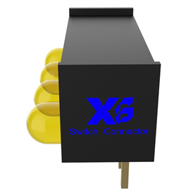 XB-SAE-01-XXXX-X