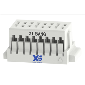 XB-X10-CI1116SD000-NH