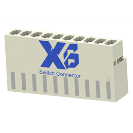 XB-X254-CI31-10S0000