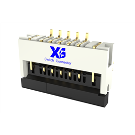 XB-FPC-CF-2505xD0R0-10-NH