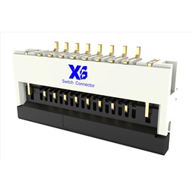 XB-FPC-CF-2508FD0R0-10-NH