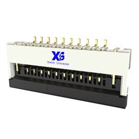 XB-FPC-CF-2510FD0R0-10-NH