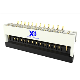 XB-FPC-CF-25121D0RD-10-NH
