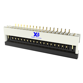 XB-FPC-CF-2517xD0R0-10-NH