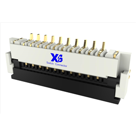 XB-FPC-CF-31101D0R2-10-NH